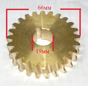 Шестерня бронзовая редуктора 19*66 24зуб, Калибр СНУБ-6,5/62Е (II); 9,0/76Е,11,0/76Е 010069(834)H