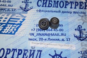 Клапан нагнетательный F822 для двигателей WD615/618, WD10, WD12, WP10, WP12