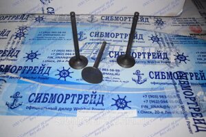 Клапан впускной 2010382 для WP2.1