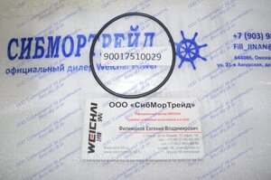 Уплотнительное кольцо 90017510029 для двигателей 8170, 6170