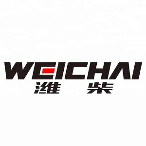 Форсунка 612700090016 для двигателей WD615/618, WD10, WD12, WP10, WP12