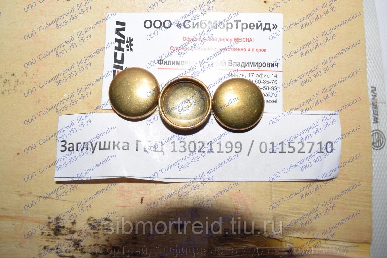 Заглушка ГБЦ 13021199 для двигателей TD226В (DEUTZ), WP4, WP6 - купить ...