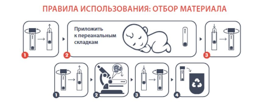 Правила использования набора на Энтеробиоз по Рабиновичу