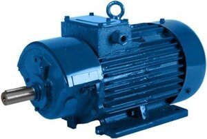 Электродвигатель крановый ДМТF 112-6 (h-132); 5,0 кВт/925