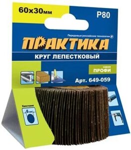 Круг лепестковый для дрели 60х30х6мм Р80 Практик