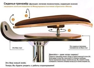 Сиденье-тренажер «Спина ОК» Стандарт