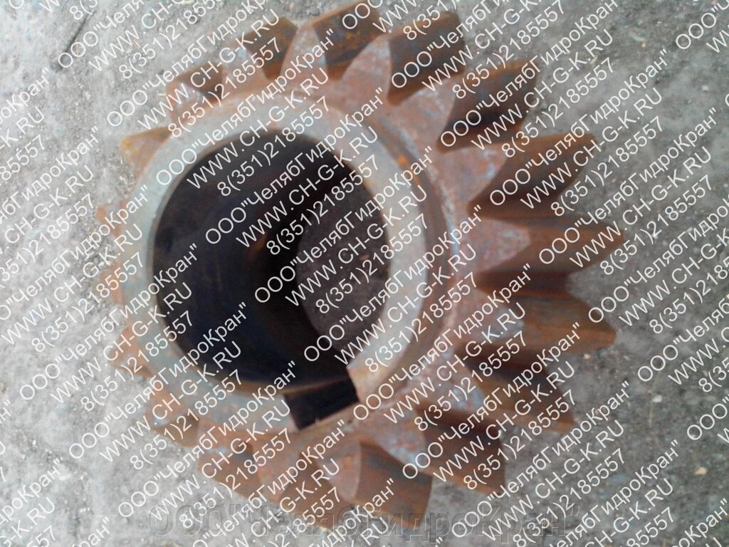 Шестерня коническая 252.13.06.001 от компании ООО"ЧелябГидроКран" - фото 1