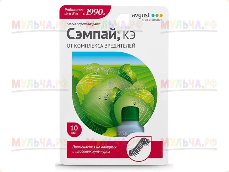 Avgust - Сэмпай Кэ, флакон 10 мл от компании Наш Кедр и Мульча. рф - фото 1