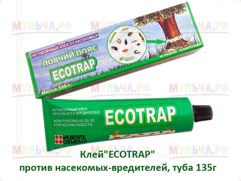 Клей "Ecotrap" против насекомых-вредителей, туба 135 г от компании Наш Кедр и Мульча. рф - фото 1