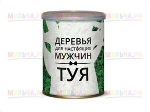 Подарочный набор для выращивания Какой ты сегодня? (газонная трава)