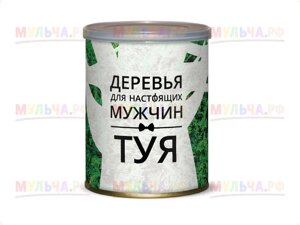 Подарочный набор для выращивания Вырасти живой рубль (ель)