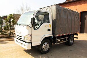 Бортовой грузовик Isuzu Elf 4х2, г/п 3780 кг