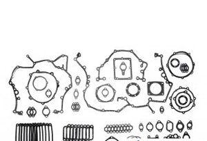 Комплект прокладок двигателя 8421-1000001