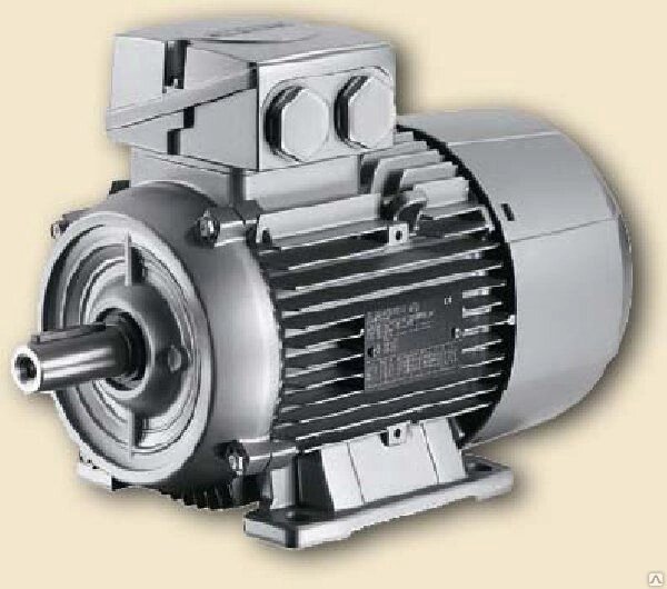 Электродвигатель Siemens 1LG4280-6AA6 (45кВт/1000) - обзор