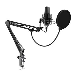 Микрофон RITMIX RDM-169 Black студийный, съемный на стойке-пантографе, кабель 1.5m USB2.0 от компании Медиамир - фото 1