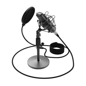 Микрофон RITMIX RDM-175 Black студийный, съемный, штатив "паук", поп-фильтр, кабель jack 3.5mm 2.5m от компании Медиамир - фото 1