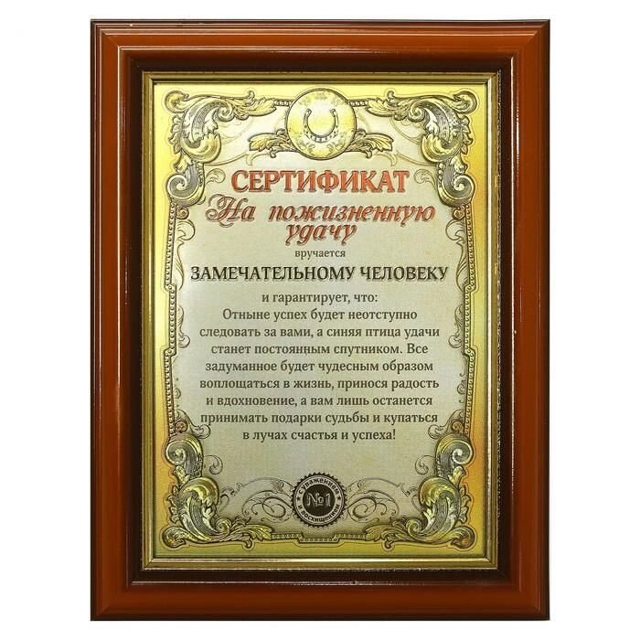 Диплом в рамке "На пожизненную удачу" от компании Магазин сувениров и подарков "Особый Случай" в Челябинске - фото 1