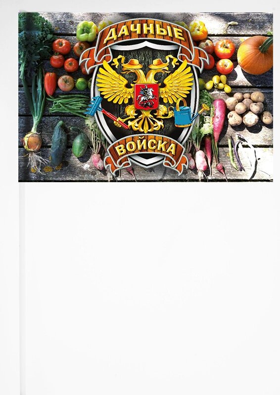 Флажок на палочке "Дачные войска" от компании Магазин сувениров и подарков "Особый Случай" в Челябинске - фото 1