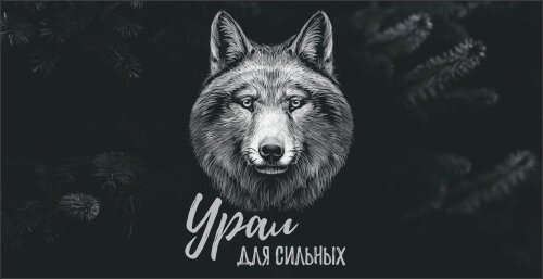 Кружка Урал №0087 Волк на черном фоне "Урал для сильных" от компании Магазин сувениров и подарков "Особый Случай" в Челябинске - фото 1