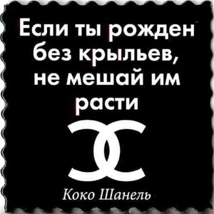 Магнит афоризмы "Если ты рожден без крыльев, не мешай им расти"