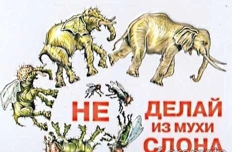 Магнит прикол объёмный "Не делай из мухи слона" от компании Магазин сувениров и подарков "Особый Случай" в Челябинске - фото 1