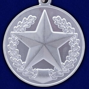 Медаль "За отличие в соревнованиях"2 место)
