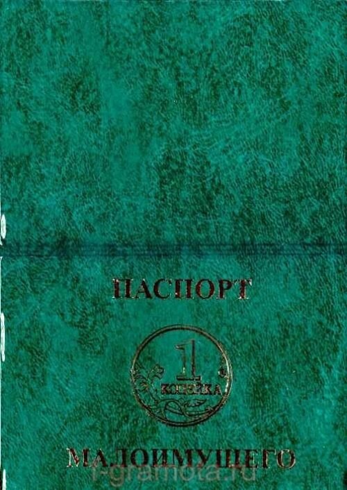 Обложка на паспорт "Паспорт Малоимущего" от компании Магазин сувениров и подарков "Особый Случай" в Челябинске - фото 1
