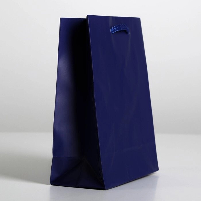 Пакет ламинированный «Синий», MS 18х23х8 см от компании Магазин сувениров и подарков "Особый Случай" в Челябинске - фото 1