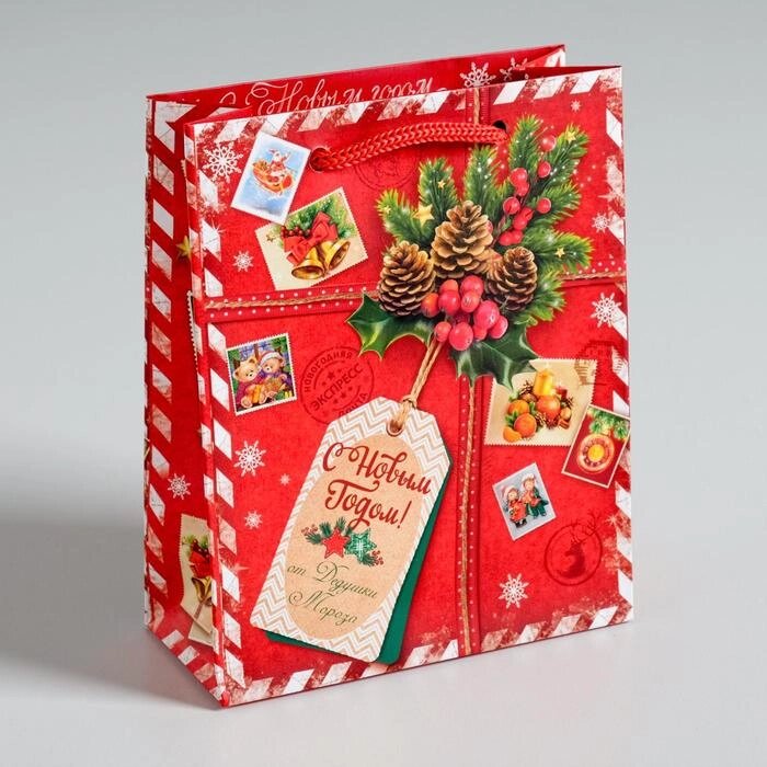 Пакет ламинированный вертикальный «Подарок от Деда Мороза», 12*15*11,5 см от компании Магазин сувениров и подарков "Особый Случай" в Челябинске - фото 1