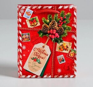 Пакет ламинированный вертикальный «Подарок от Деда Мороза», 31 * 40 * 11,5 см