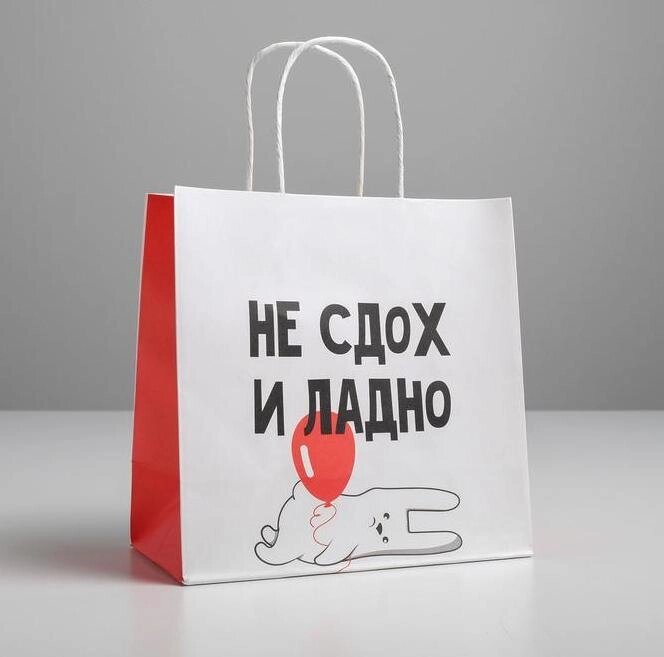 Пакет подарочный «И ладно», 22 х 22 х 11 см от компании Магазин сувениров и подарков "Особый Случай" в Челябинске - фото 1