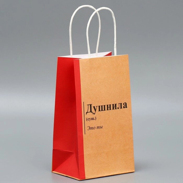 Пакет подарочный крафтовый «Душнила», 12*21*9 см от компании Магазин сувениров и подарков "Особый Случай" в Челябинске - фото 1