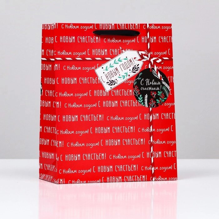 Пакет подарочный "Пожелание", 26 х 32 х 12 см от компании Магазин сувениров и подарков "Особый Случай" в Челябинске - фото 1