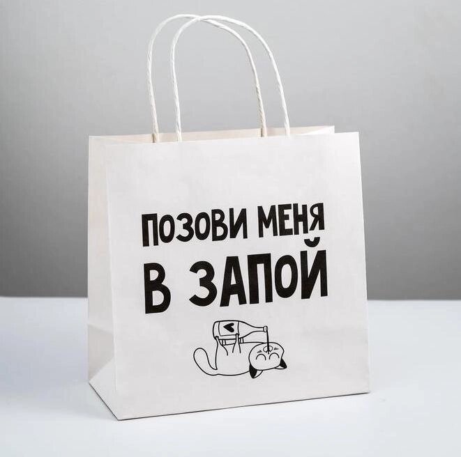 Пакет подарочный «Позови меня», 22  22  11 см от компании Магазин сувениров и подарков "Особый Случай" в Челябинске - фото 1