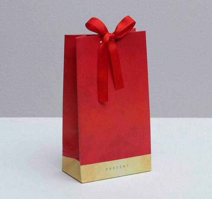 Пакет подарочный с лентой Present, 13  23  7 см от компании Магазин сувениров и подарков "Особый Случай" в Челябинске - фото 1