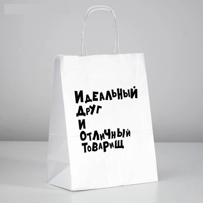 Пакет подарочный с приколами «Идеальный Друг И Отличный Товарищ», 24 х 14 х 30 см от компании Магазин сувениров и подарков "Особый Случай" в Челябинске - фото 1