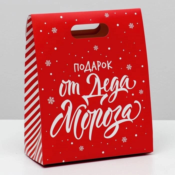 Пакет с клапаном «Подарок от Деда Мороза», 26 х32 х12 см от компании Магазин сувениров и подарков "Особый Случай" в Челябинске - фото 1