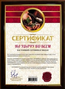 Почётная рамка "Сертификат на удачу во всём" в Челябинской области от компании Магазин сувениров и подарков "Особый Случай" в Челябинске