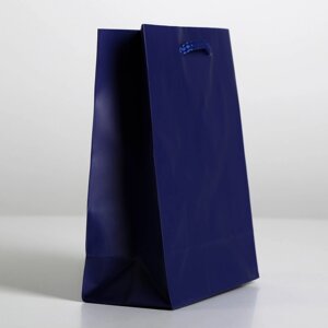 Пакет ламинированный «Синий», MS 18х23х8 см