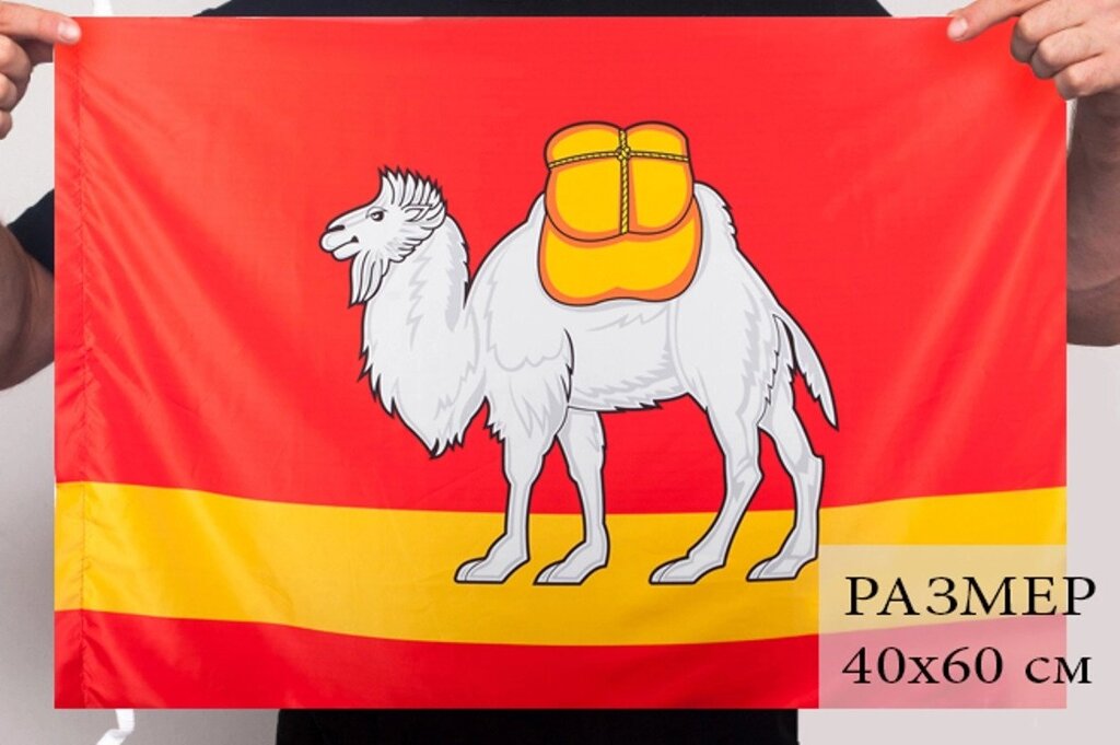 Флаг Челябинской области 40x60 см - обзор