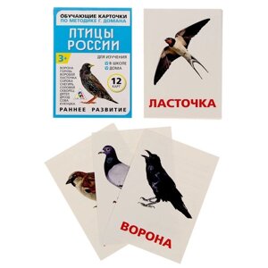 Обучающие карточки по методике Г. Домана "Птицы России" 1716782 в Челябинской области от компании Магазин сувениров и подарков "Особый Случай" в Челябинске