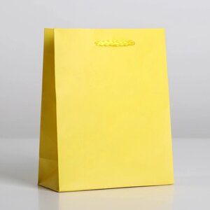 Пакет ламинированный «Жёлтый», ML 23х27х8 см в Челябинской области от компании Магазин сувениров и подарков "Особый Случай" в Челябинске