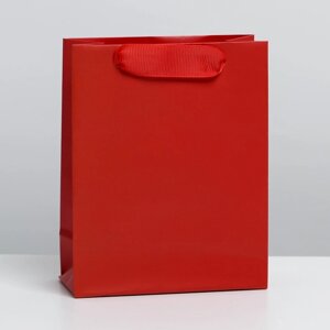 Пакет ламинированный «Красный», S 12155,5 см в Челябинской области от компании Магазин сувениров и подарков "Особый Случай" в Челябинске
