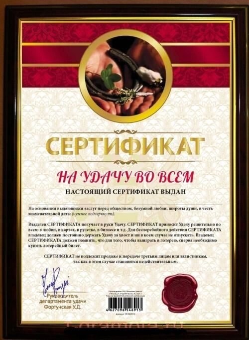 Почётная рамка "Сертификат на удачу во всём" от компании Магазин сувениров и подарков "Особый Случай" в Челябинске - фото 1