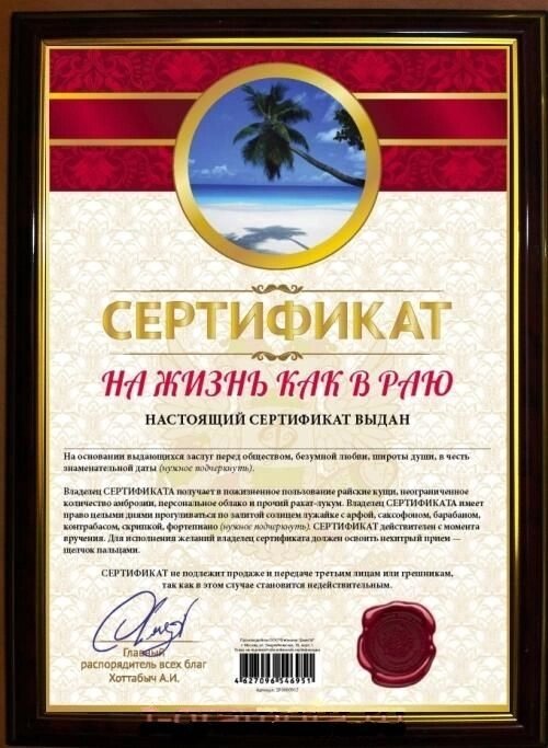 Почётная рамка "Сертификат на жизнь как в раю" от компании Магазин сувениров и подарков "Особый Случай" в Челябинске - фото 1