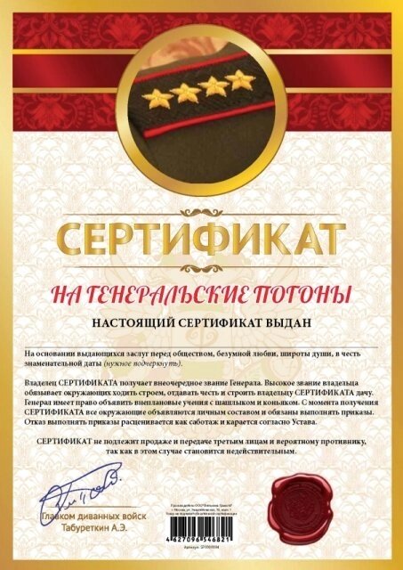 Сертификат шуточный "На генеральские погоны" А4 от компании Магазин сувениров и подарков "Особый Случай" в Челябинске - фото 1
