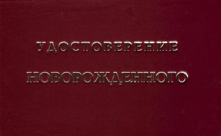 Шуточное удостоверение Новорожденного от компании Магазин сувениров и подарков "Особый Случай" в Челябинске - фото 1