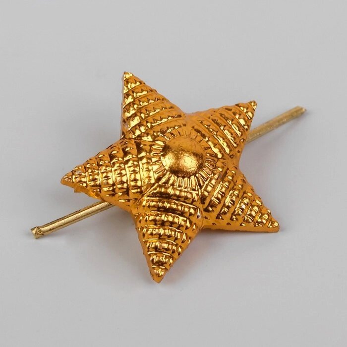 Звезда 20 мм на погоны, цвет золото от компании Магазин сувениров и подарков "Особый Случай" в Челябинске - фото 1