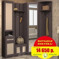 Обувницы, вешалки, шкафы для прихожей.
