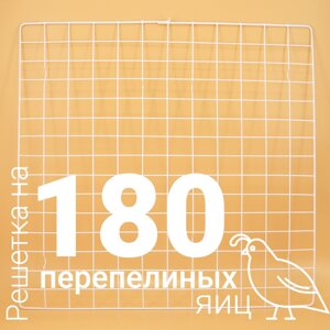 Решетка перепелиная №16 на 180 ячеек для инкубатора Несушка 104